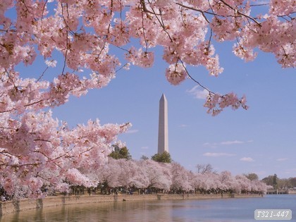 Tranh dán tường phong cảnh địa danh nổi tiếng T321-447